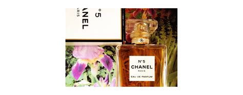 duftzwilling chanel no 5 rossmann|Duftzwillinge bei Rossmann: Alle Parfum.